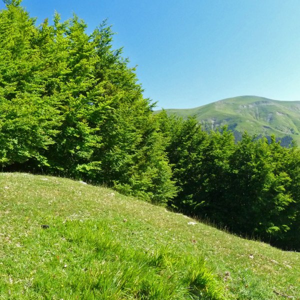 Gaztuluzarreko gailurra