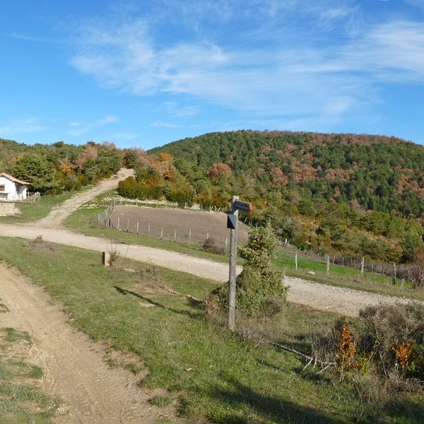 Ardibideko etxola, Eparotz eta Artanga herrien arteko lepoan