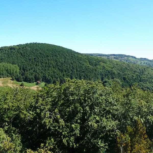 Learpuru hegoaldetik