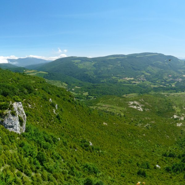 Ligarrietako labarrak