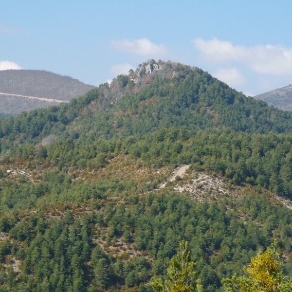 Artxutako harriak hegoaldetik