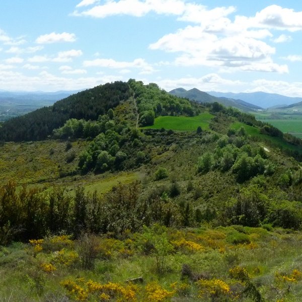 Argonga iparraldetik