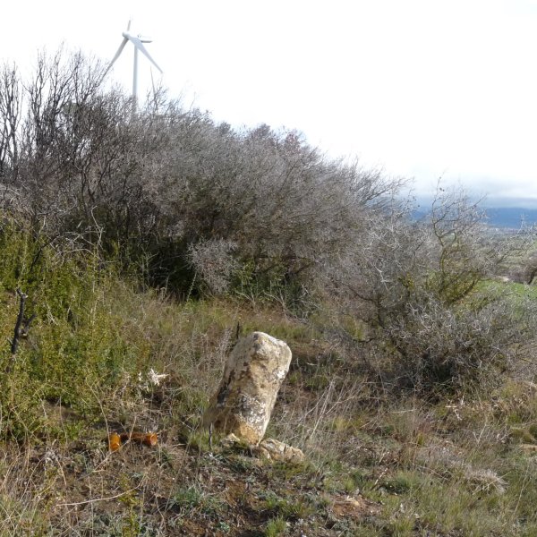 Artebeltzko gailurra