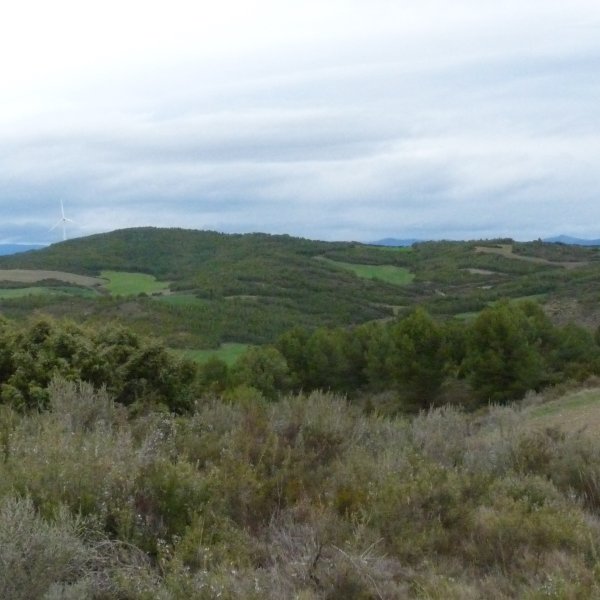 Artaxoako Mugako gaina