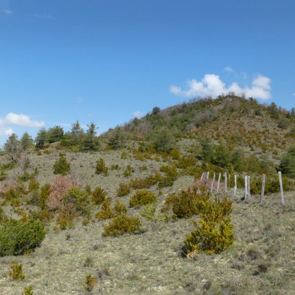  Peña de la Guardia, hegoaldeko lepotik