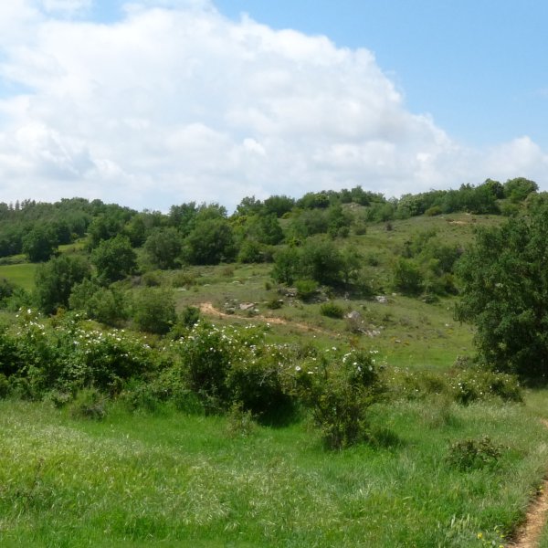 Alto del monte, iparraldeko lepotik