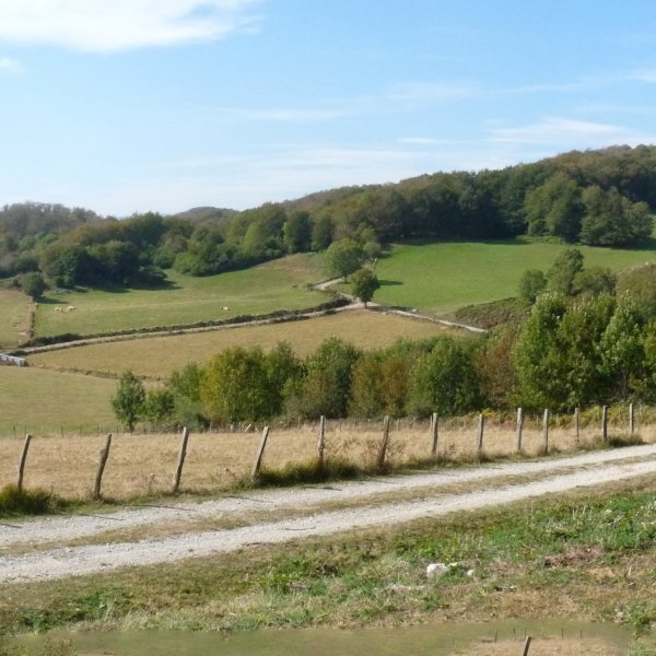Iontzako gainak Berueteko bidetik