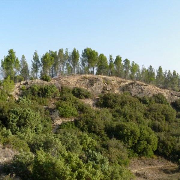 Gorritiko harrien hegoaldea