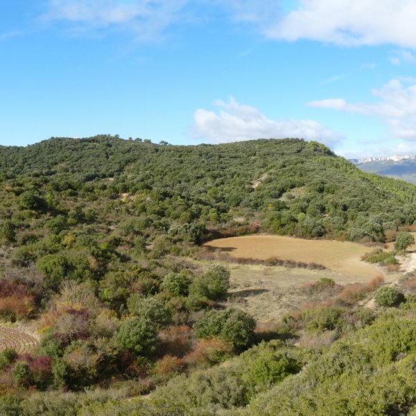 Ostaita, hegoaldetik