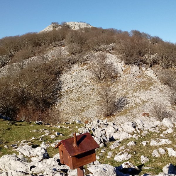 Gorosteta (1259m) Arrabakoatxatik (1177m) ikusita