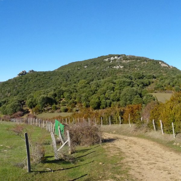 Andaradia, Jaitzeko bidetik