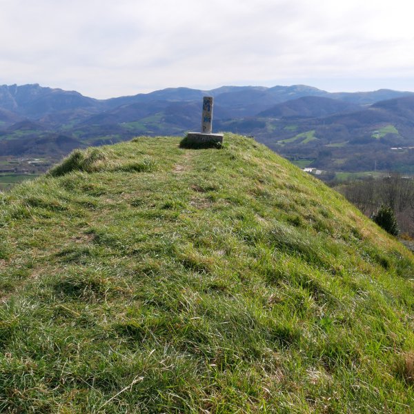 Txoritokieta tontorra