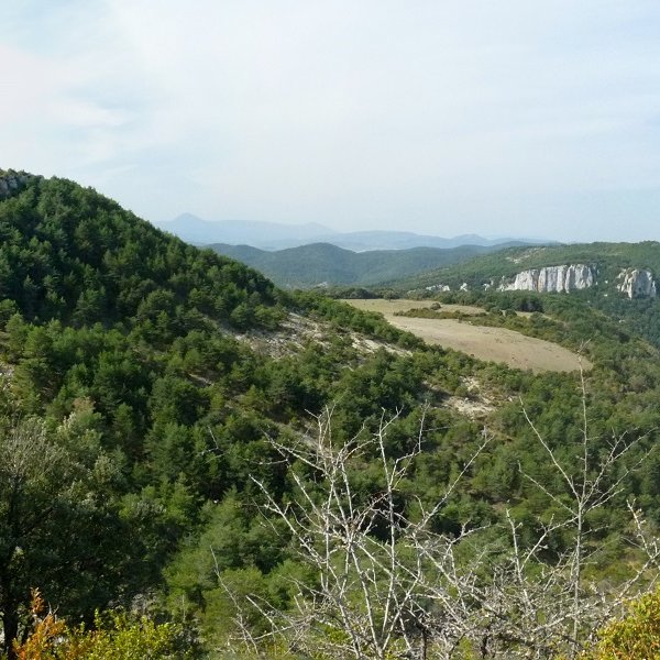 Eskisun, iparraldetik