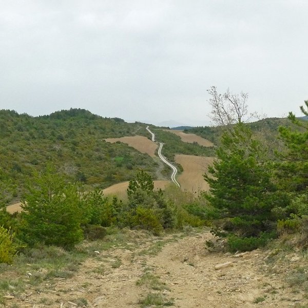 Txaparral mendia, Ollankotik