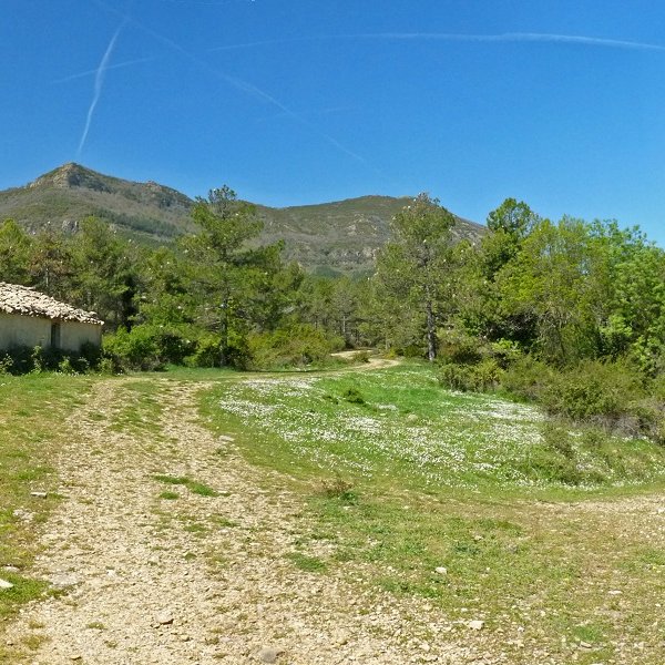 Izanozko etxe bakarra