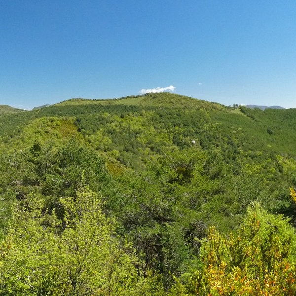 Bandera gainak mendebaldetik 