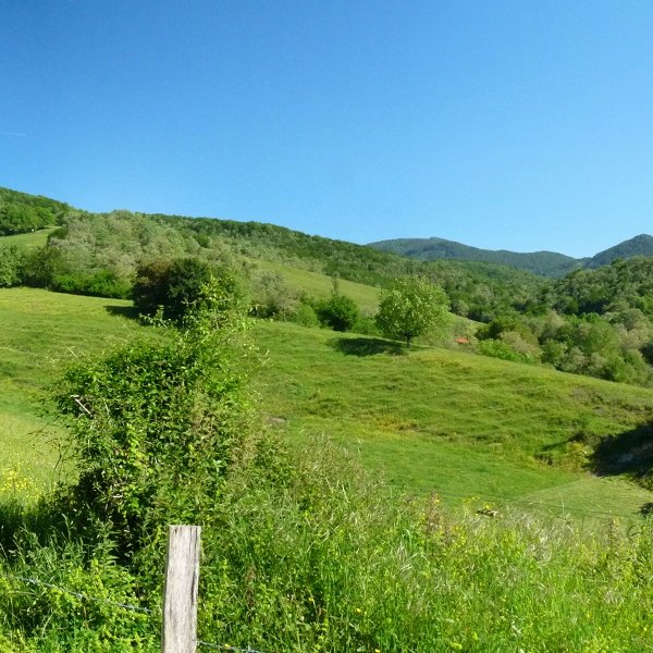 Euntzategiko gaina, Itsasoko bdetik