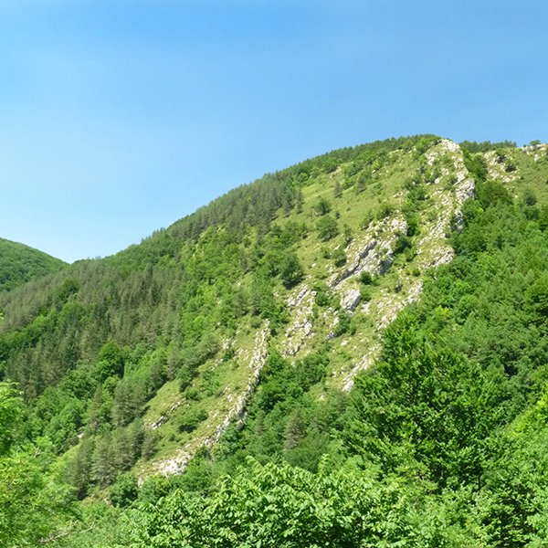 Hegoaldeko malkarrak, Lizarrustiko bidetik