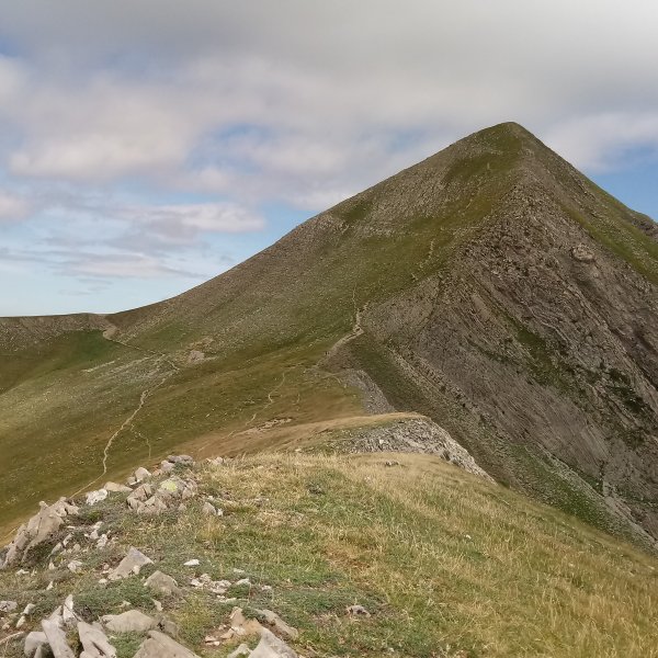 Orhi (2017m) azken zatia