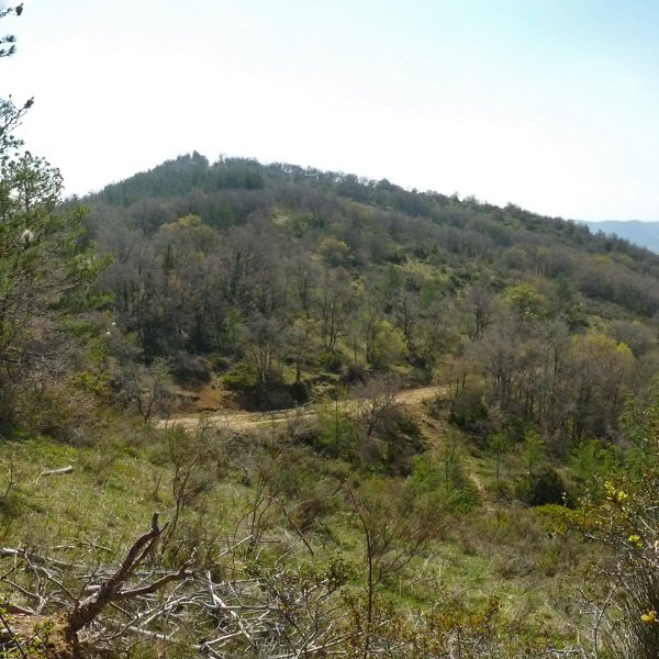 Artealdea, iparreko lepotik