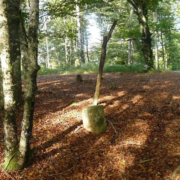 Piilotasoroko gailurra