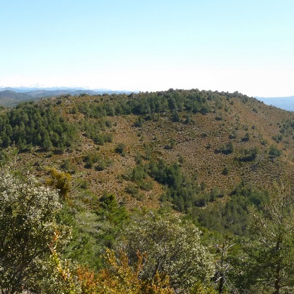 Egurzano mendia Arizandia menditik