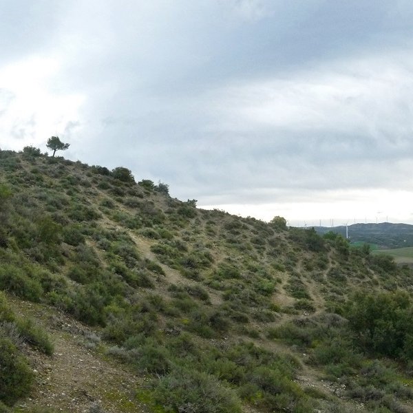 Montarragako gainaldea