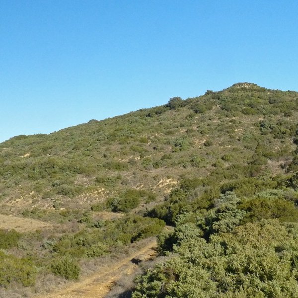 Zaramendi eta San Martin Unx