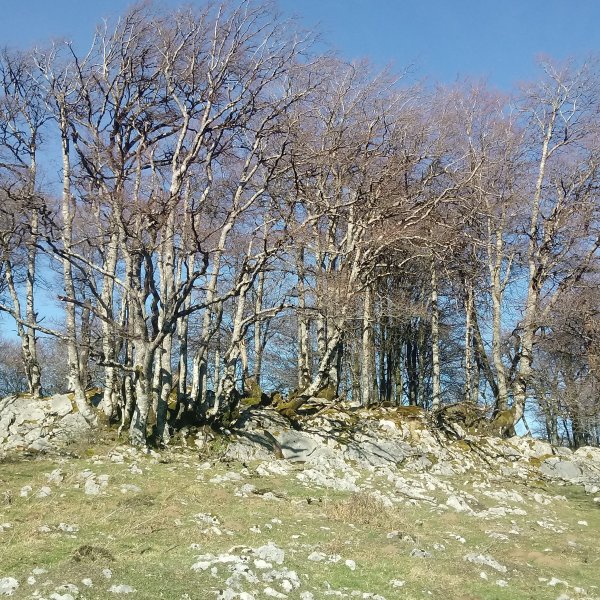 Pagoaundi (1029m) gaina