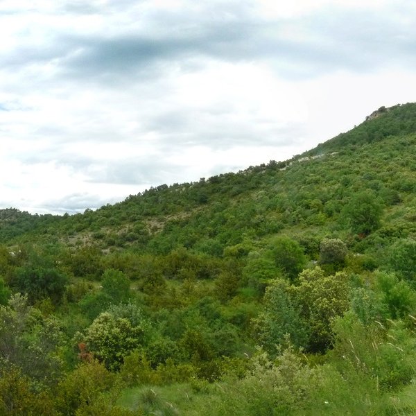 Puntallloak eta San Kiriko