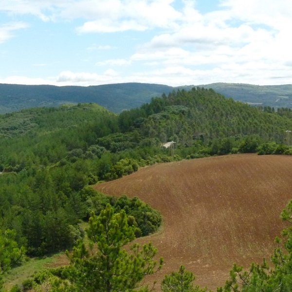 Kastellarko bi gialurrak 