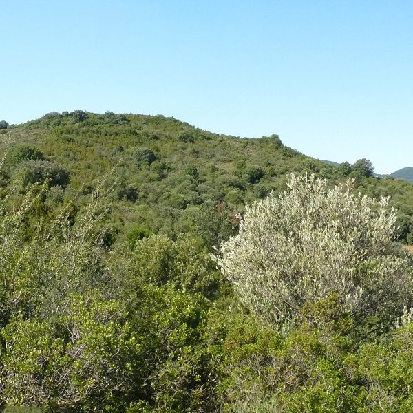 Gainaldea, sasiek inbadituta