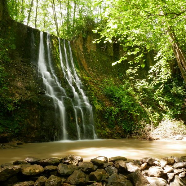 Bolintxuko ur-jauzia