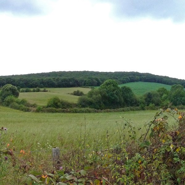 Beuntzako Gaina, Beuntzatik