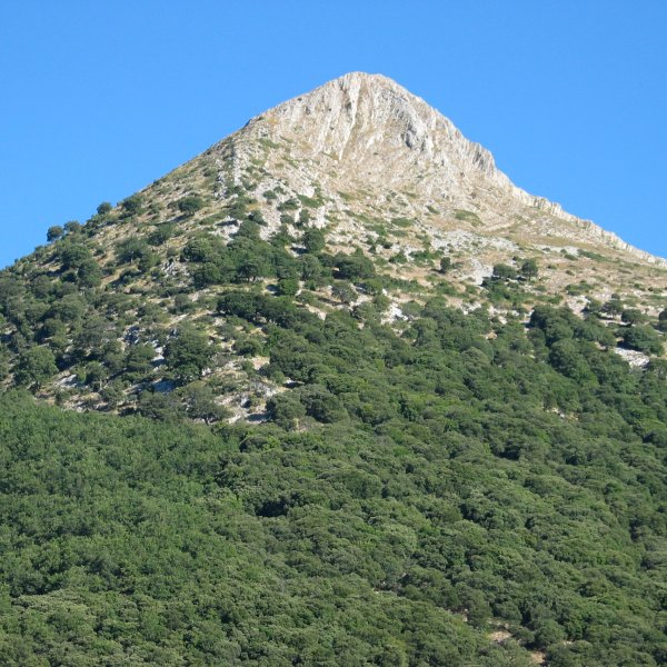 Iltzarbe aldetik ikusita itxura polita du.