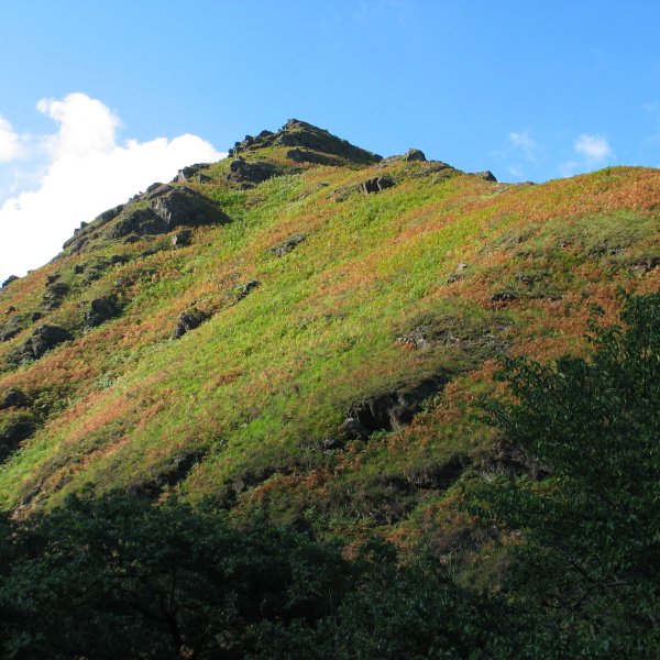 Zuziniateko zintzurretik, errepidetik ikusita