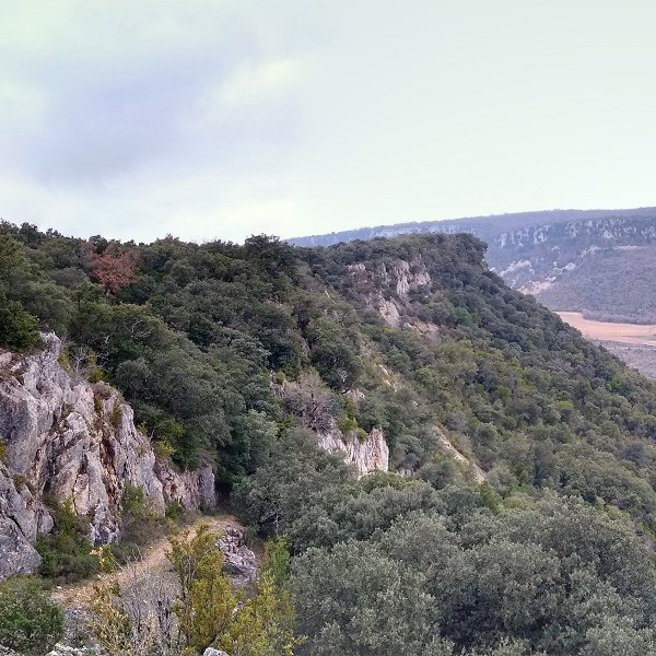 Ulibartiako harratea