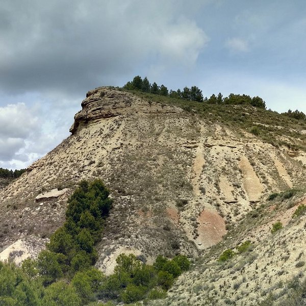 Recuencoko malkarrak