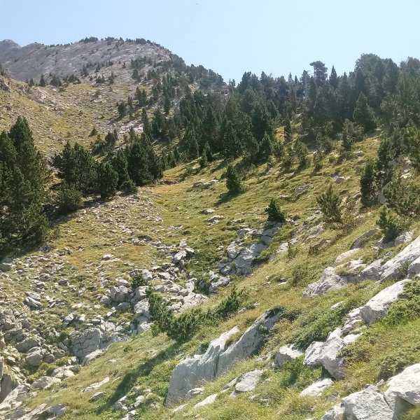 Ukerdi (2252m) igoera IM-ko kanaletik