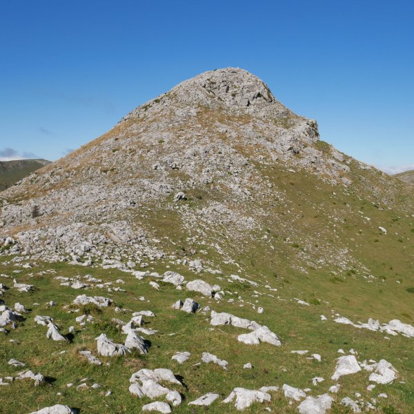 Urgoiti HEko lepotik