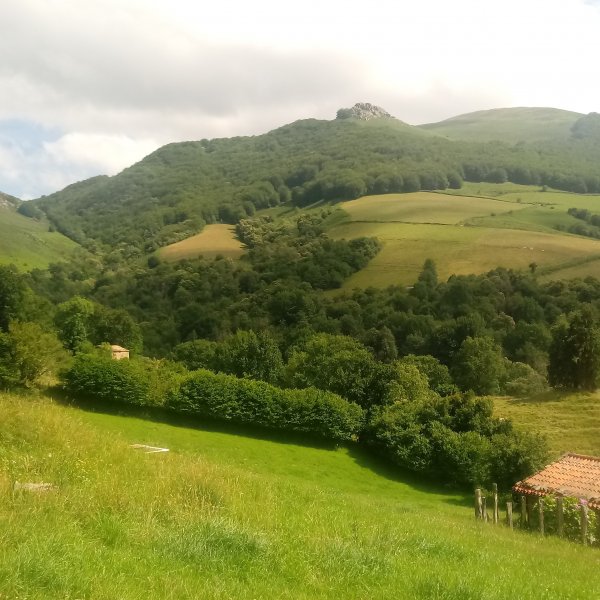 Abartan Gamiokoborda landetxetik