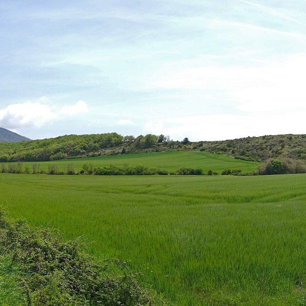 Arrondoa, Elkartetik