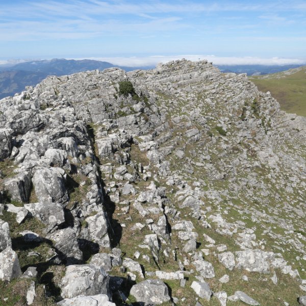 Tontorra, Ganboatxiki