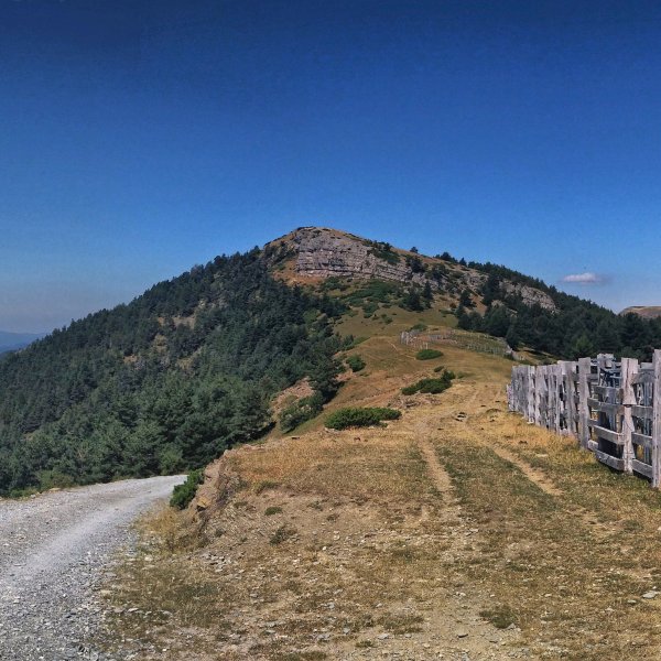 Iñari Calveirako lepotik