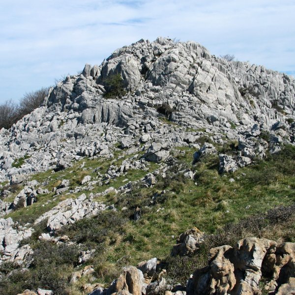 Betzuenburu tontorra Htik