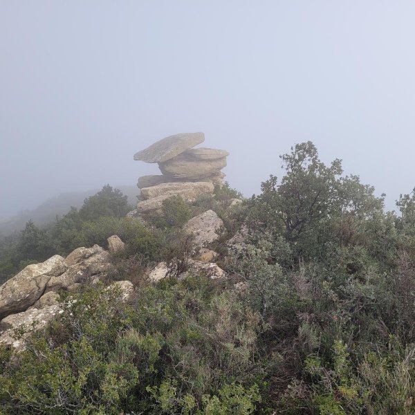 Arroka bitxiak Aurinon