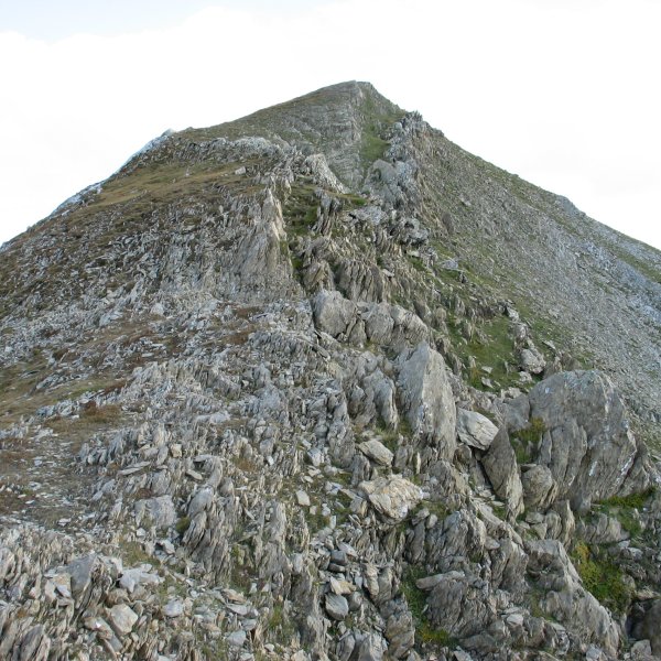 Añelarraren mendebaldeko bizkarra