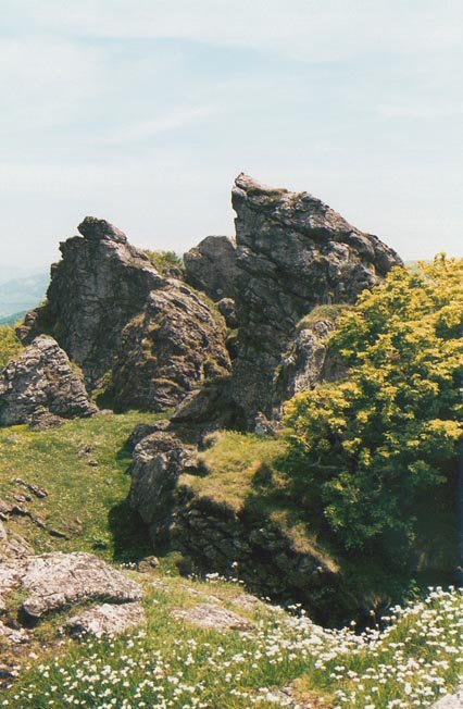 Tontorraren inguruak