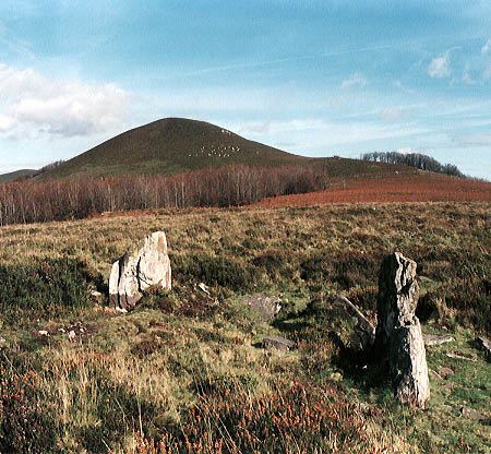 Irakurri aldetik ikusita