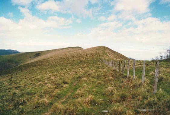 Gailurra Hegoaldetik